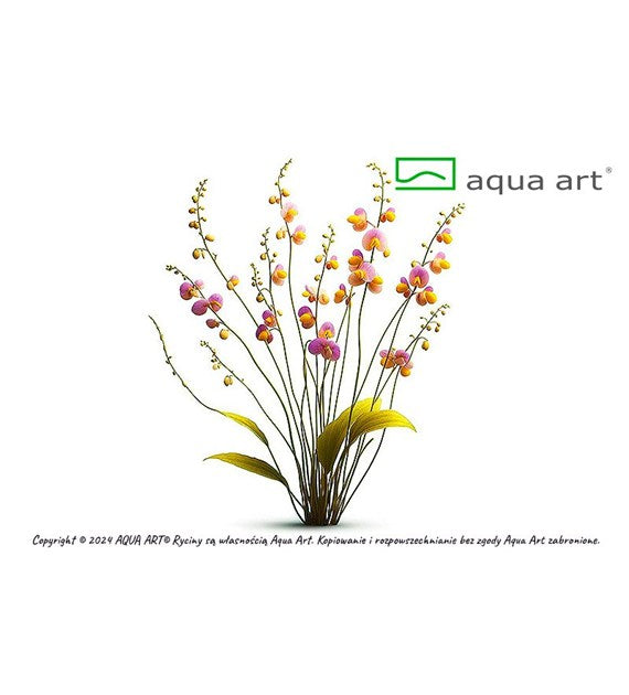 Utricularia longifolia