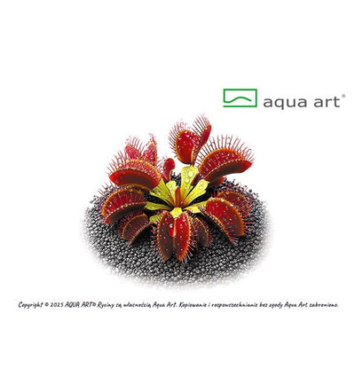 Dionaea muscipula Ring