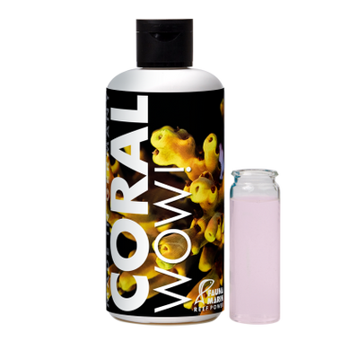 Fauna Marin Coral WOW