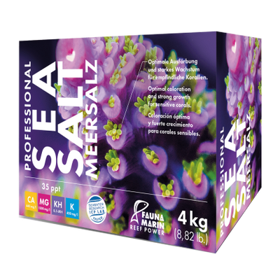 Professional Sea Salt 4kg Box