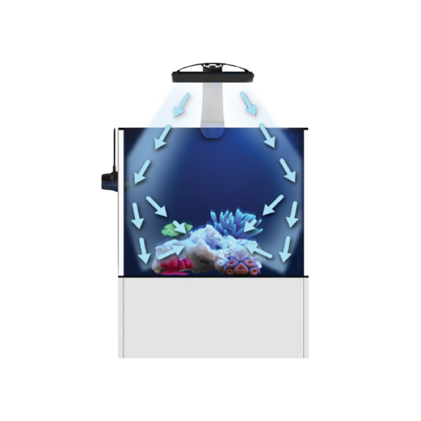 Ecotech Marine Radion G6