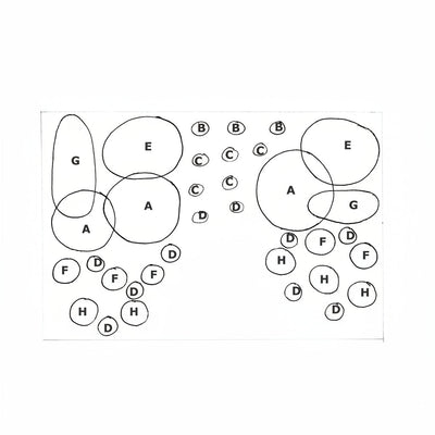 Layout 46 (200 L) 23 Pflanzen