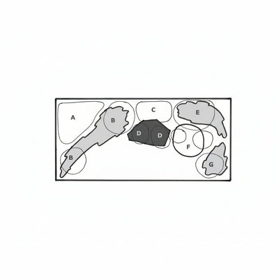 Layout 16 (128 L) 11 Pflanzen