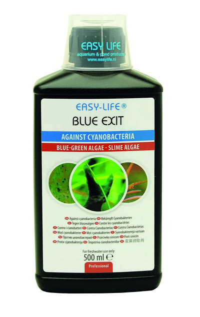 Easy-Life Blue Exit