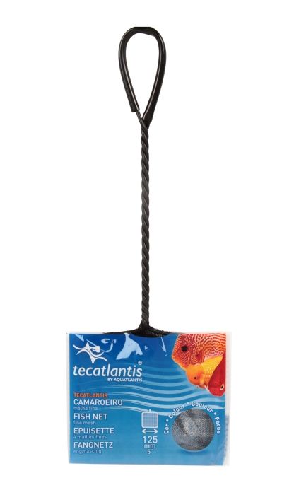 Fischnetz