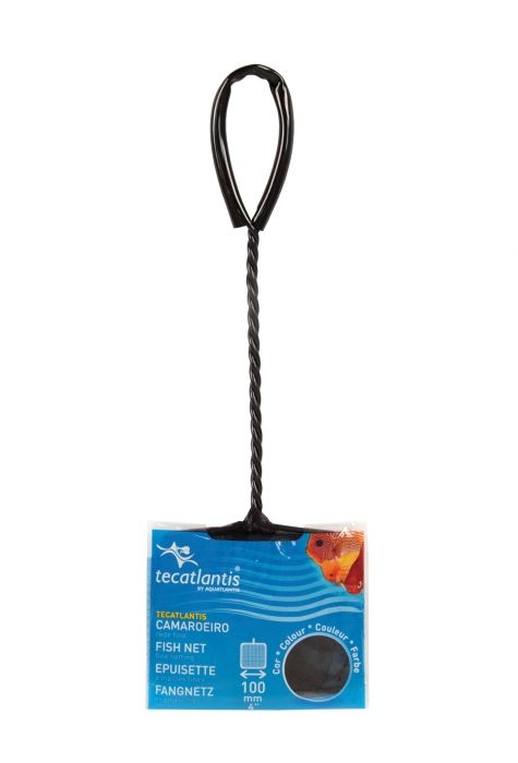 Fischnetz