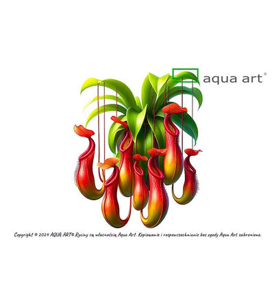 Nepenthes macfarlanei