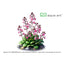 Stylidium debilles
