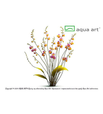 Utricularia longifolia