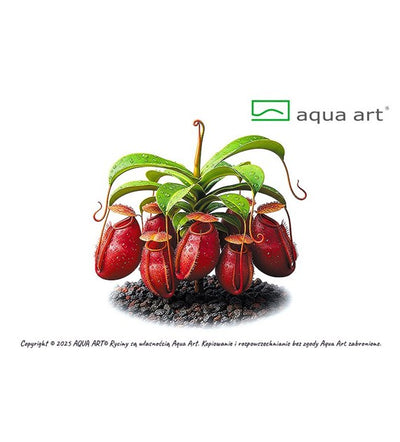 Nepenthes Ampullaria 'Rot'