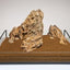 Drachenstein