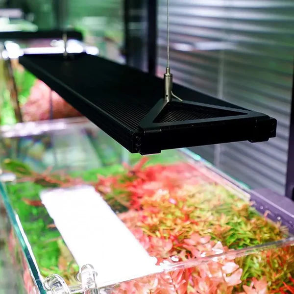 Chihiros WRGB 2 Pro