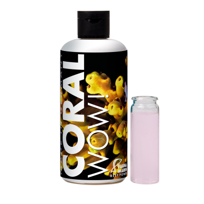 Fauna Marin Coral WOW