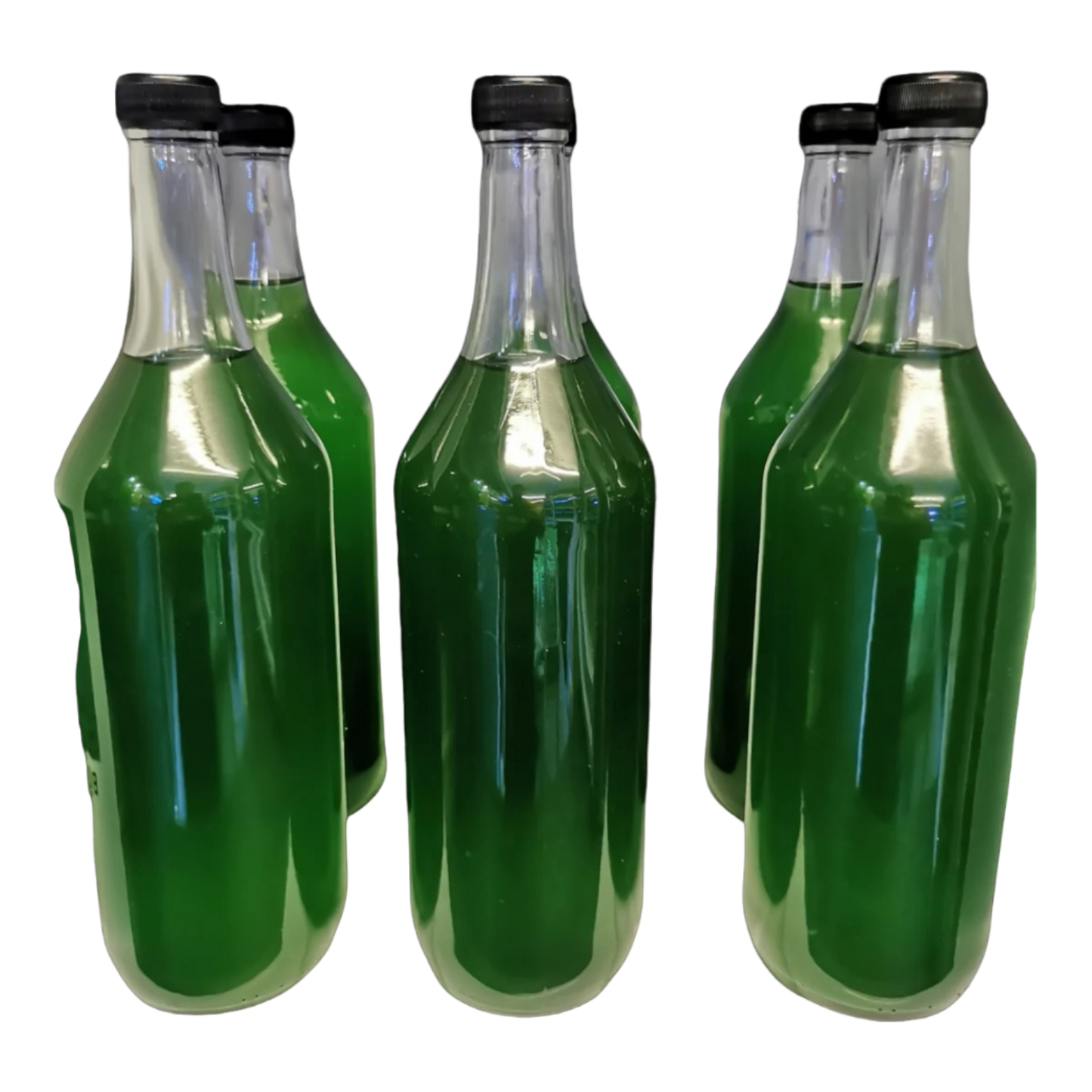 Phytoplankton