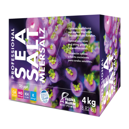 Professional Sea Salt 4kg Box