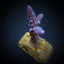 Acropora gomezi
