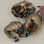Calcinus elegans