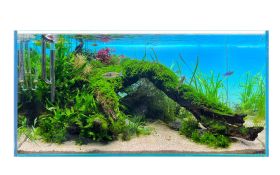 Lighting Panel Backlight Hintergrundbeleuchtung