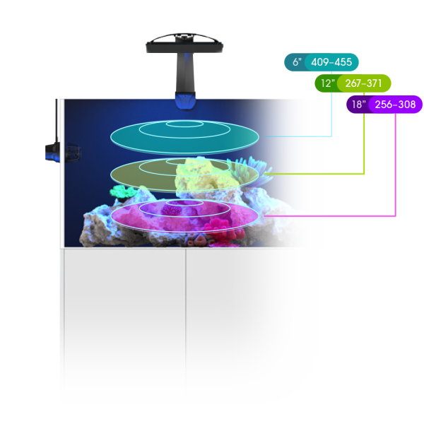 Ecotech Marine Radion G6
