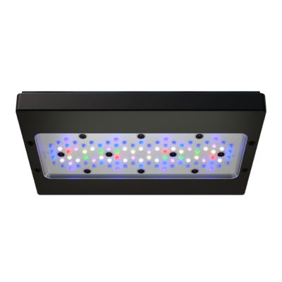 Ecotech Marine Radion G6