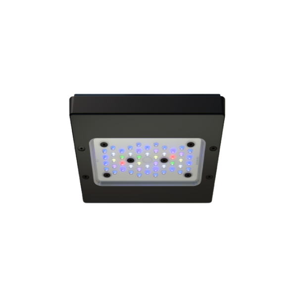 Ecotech Marine Radion G6