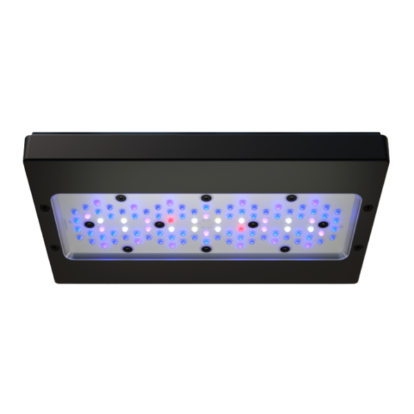 Ecotech Marine Radion G6