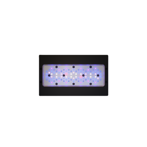 Ecotech Marine Radion G6