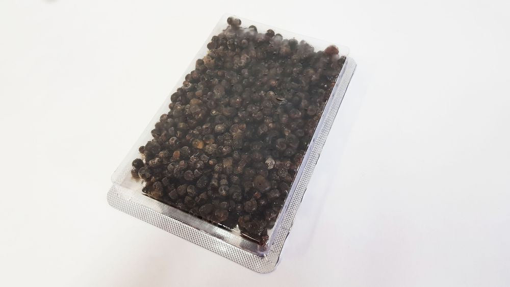 PETMAN ganze Futterschnecken mit Gehäuse 70g
