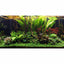 Layout 108 (250 L) 48 Pflanzen