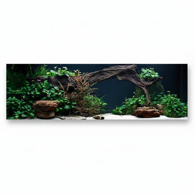 Layout 27 (350 L) 19 Pflanzen