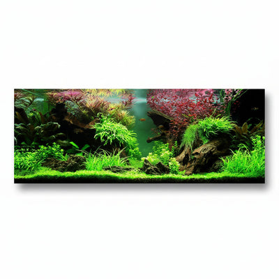 Layout 80 (180 L) 21 Pflanzen