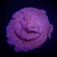 Montipora spp. (Encrusting) (Red polyp)
