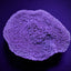Montipora spp. (Laminar) (Purple-Blue)