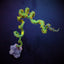 Cirrhipathes spp.