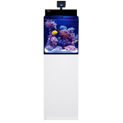 Red sea MAX NANO G2