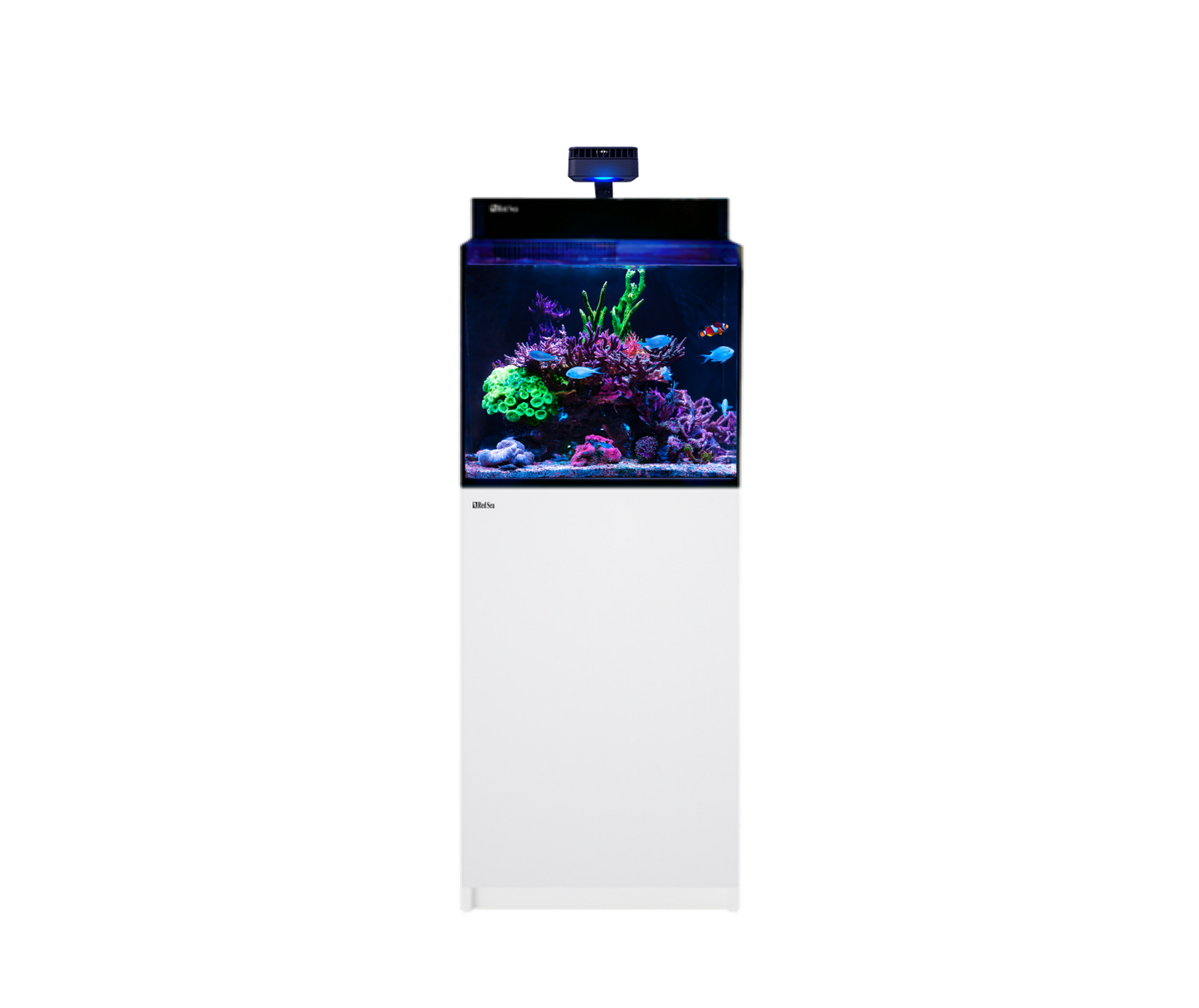 Red sea MAX NANO G2