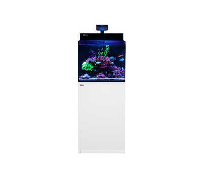Red sea MAX NANO G2