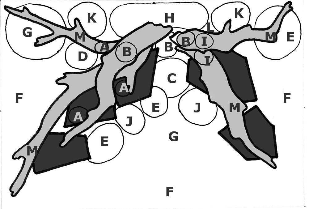 Layout 45 (180 L) 46 Pflanzen