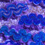 Tridacna maxima (Blue) (Ultra) (Pacific)
