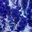 Tridacna maxima (Pink-Purple)