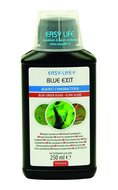 Easy-Life Blue Exit