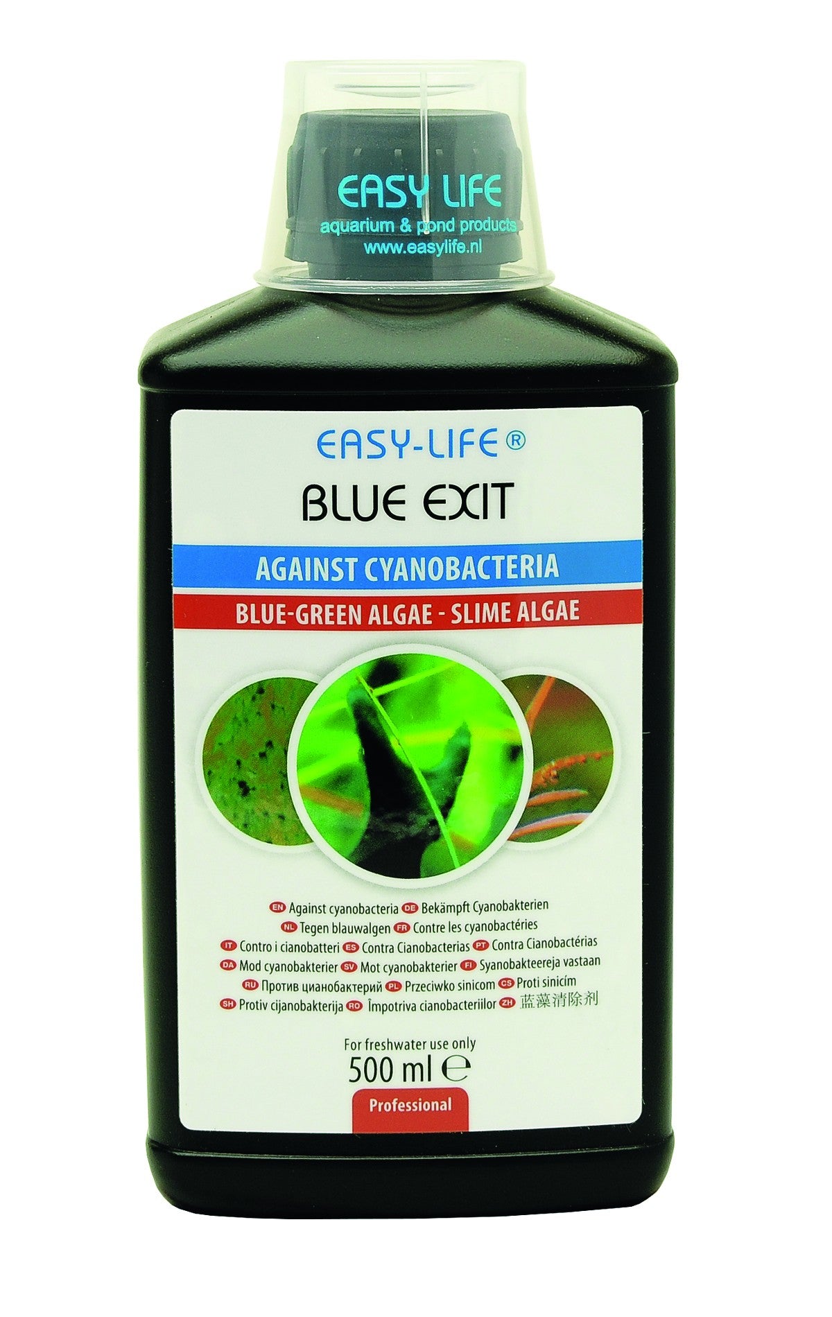 Easy-Life Blue Exit